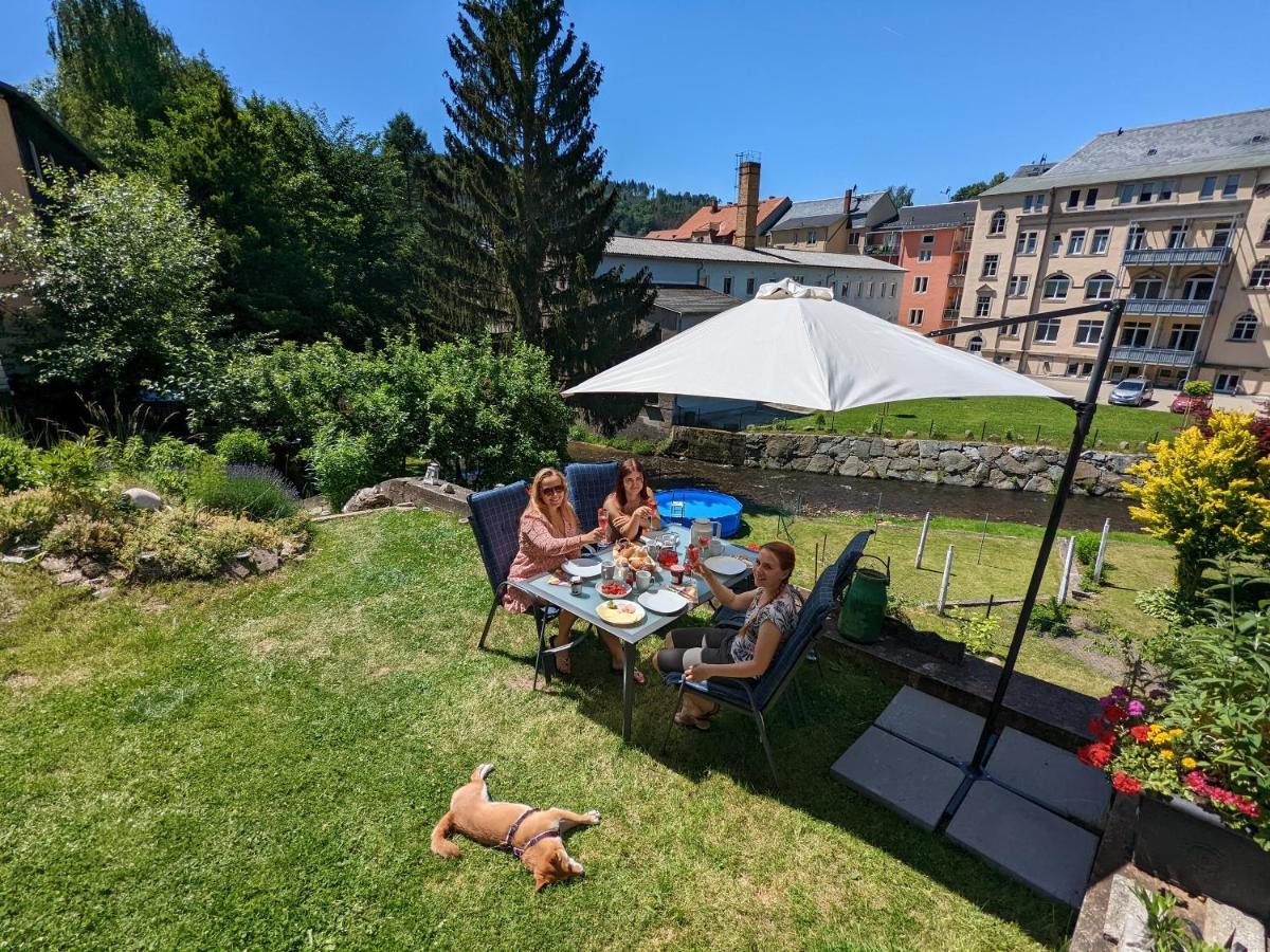Zi2 - Urlaubsmagie - Whirlpool, Sauna Und Garten Apartment Sebnitz Exterior photo