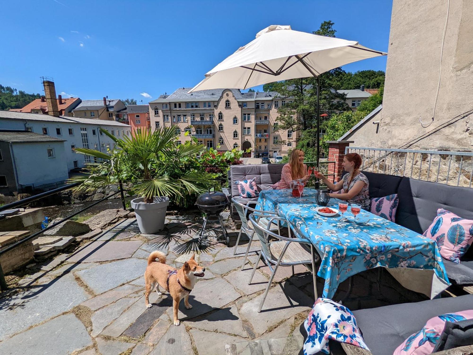 Zi2 - Urlaubsmagie - Whirlpool, Sauna Und Garten Apartment Sebnitz Exterior photo